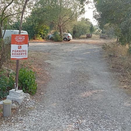 Mas Palegry côté jardin Acomodação com café da manhã Perpinhã Exterior foto