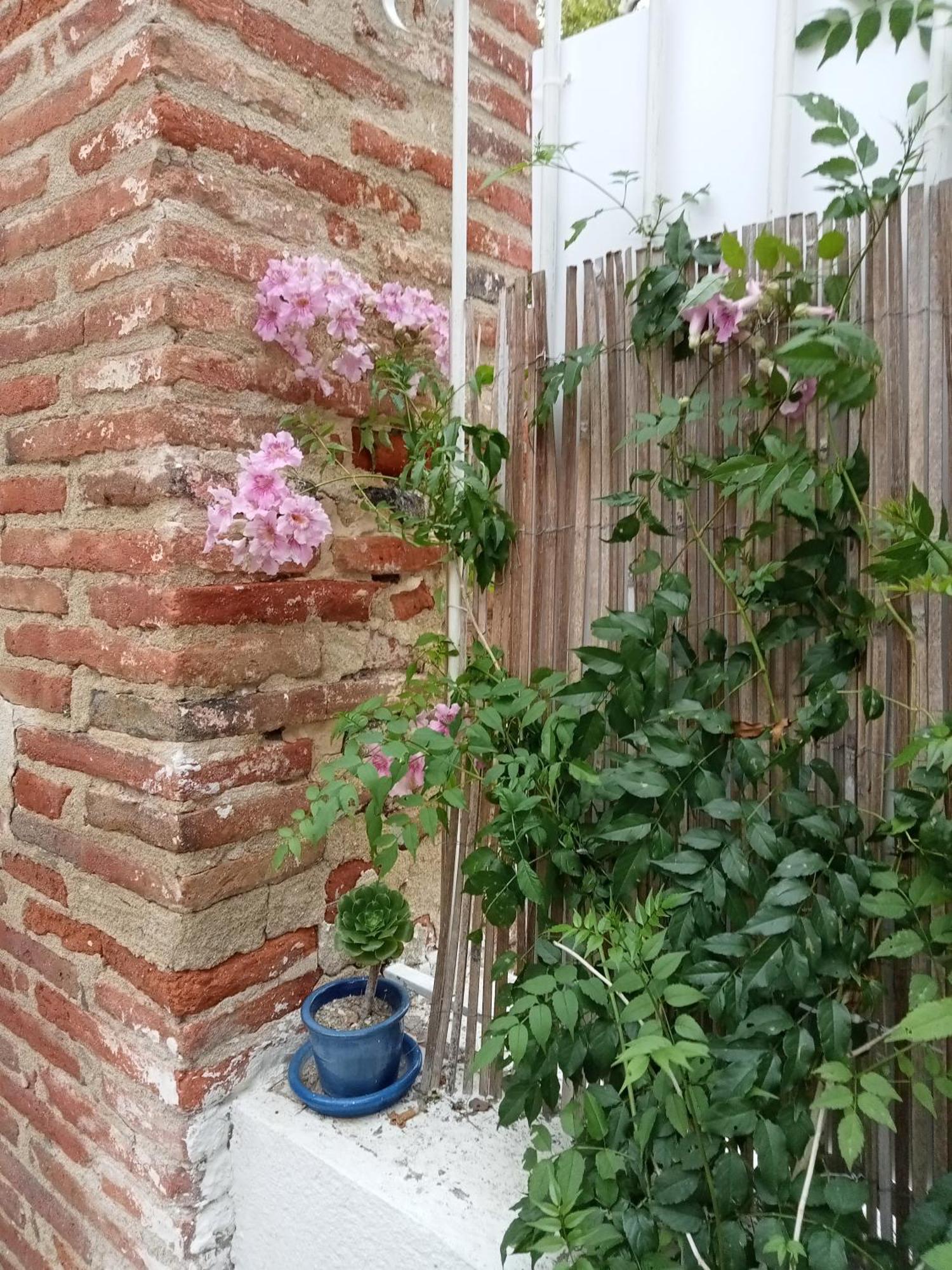 Mas Palegry côté jardin Acomodação com café da manhã Perpinhã Exterior foto