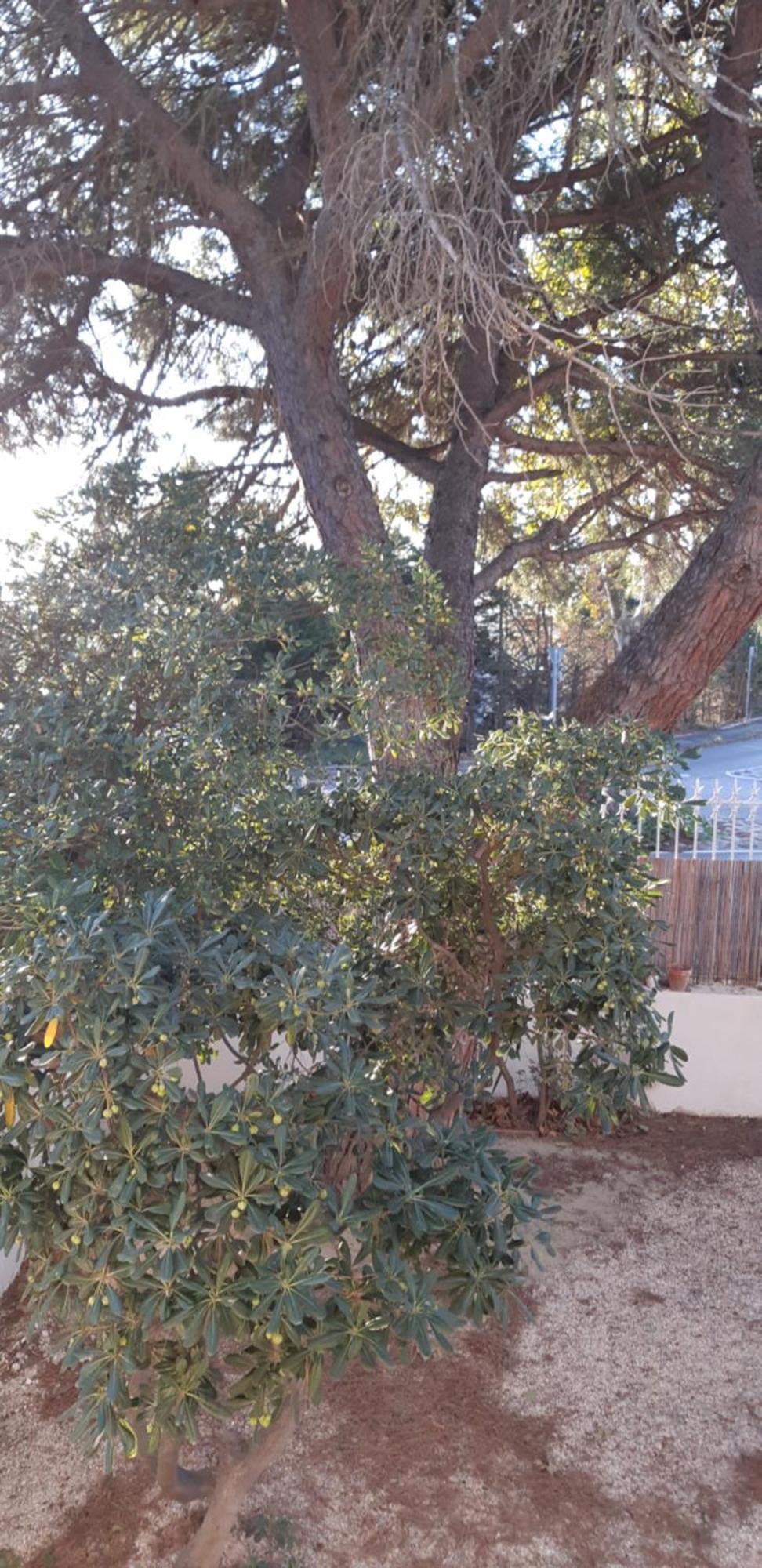 Mas Palegry côté jardin Acomodação com café da manhã Perpinhã Exterior foto